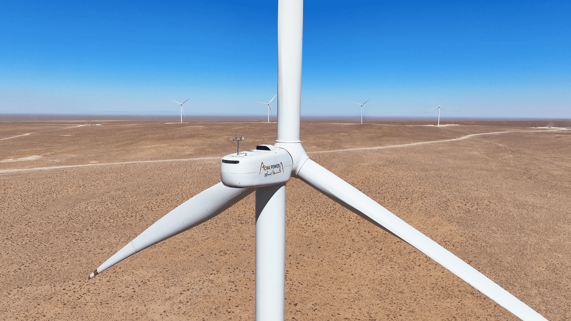 Paving the Way to a More Sustainable World